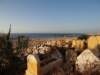 morocco201476_small.jpg