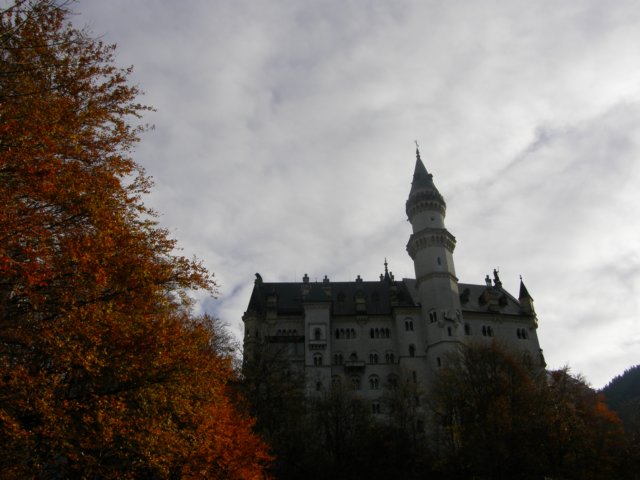 neuschwansteinnovember0912.jpg