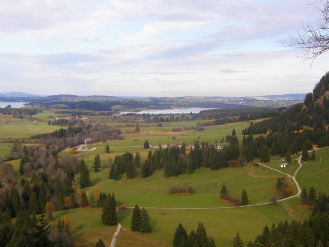 neuschwansteinnovember0916.jpg