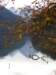 neuschwansteinnovember0957_small.jpg