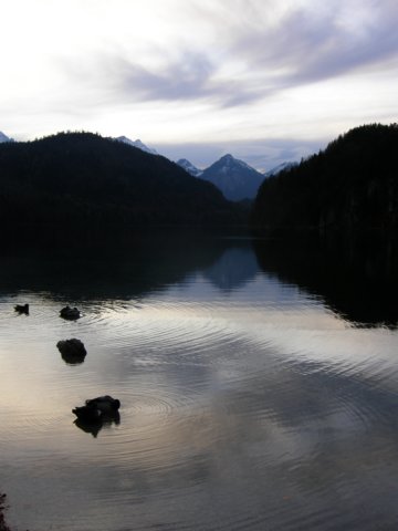 neuschwansteinnovember0958.jpg