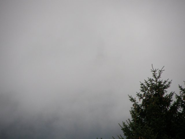 neuschwansteinnovember0976.jpg