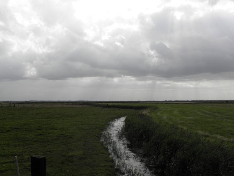 norkfolkukaug201210.jpg