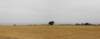 norkfolkukaug2012107_small.jpg
