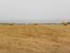 norkfolkukaug2012108_small.jpg