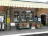norkfolkukaug2012112_small.jpg