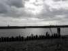 norkfolkukaug201217_small.jpg