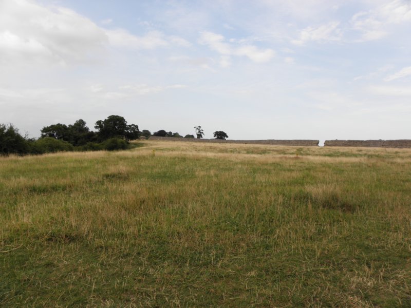 norkfolkukaug201219.jpg