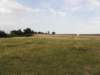 norkfolkukaug201219_small.jpg