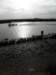 norkfolkukaug201227_small.jpg