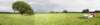 norkfolkukaug201231_small.jpg