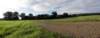 norkfolkukaug201233_small.jpg