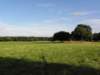 norkfolkukaug201238_small.jpg