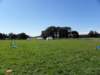 norkfolkukaug201249_small.jpg