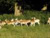 norkfolkukaug201265_small.jpg
