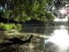 norkfolkukaug201266_small.jpg