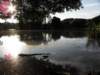 norkfolkukaug201267_small.jpg