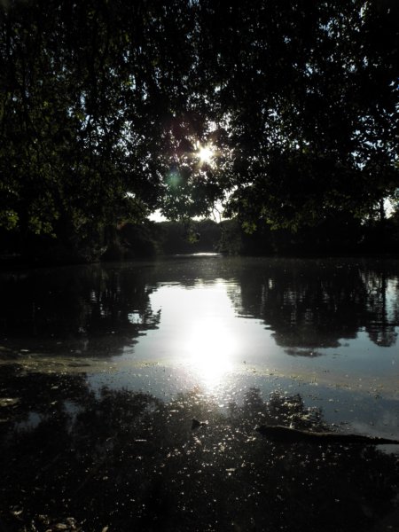 norkfolkukaug201268.jpg