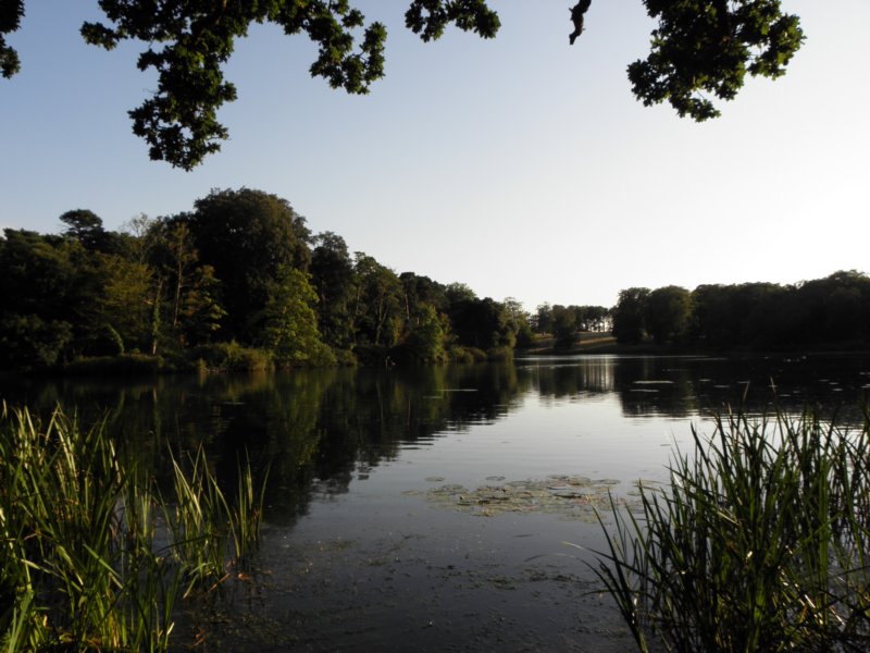 norkfolkukaug201271.jpg