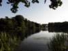 norkfolkukaug201271_small.jpg
