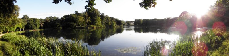 norkfolkukaug201272.jpg