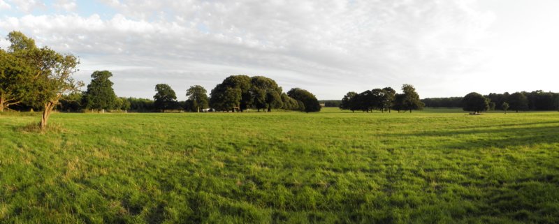 norkfolkukaug201276.jpg