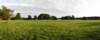 norkfolkukaug201276_small.jpg