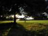 norkfolkukaug201277_small.jpg