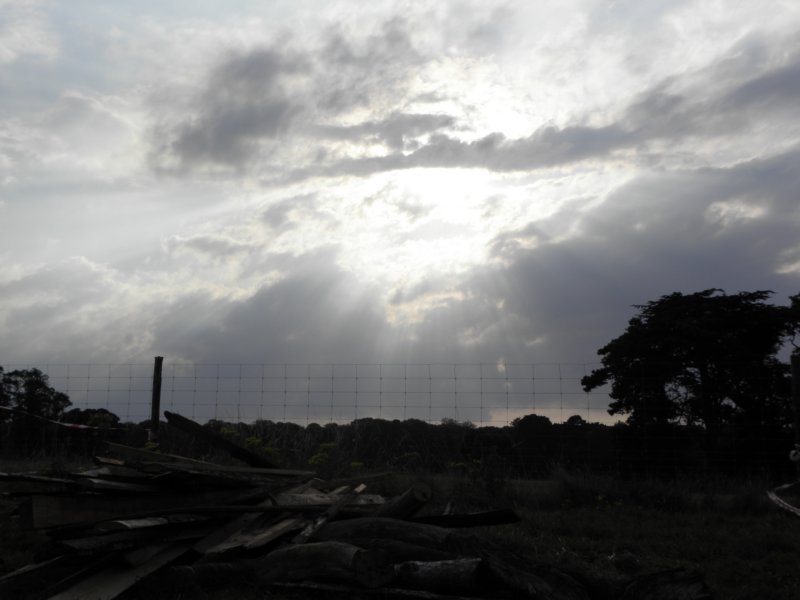 norkfolkukaug201282.jpg