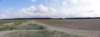 norkfolkukaug201290_small.jpg
