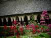 normandy113_small.jpg