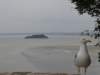 normandy122_small.jpg