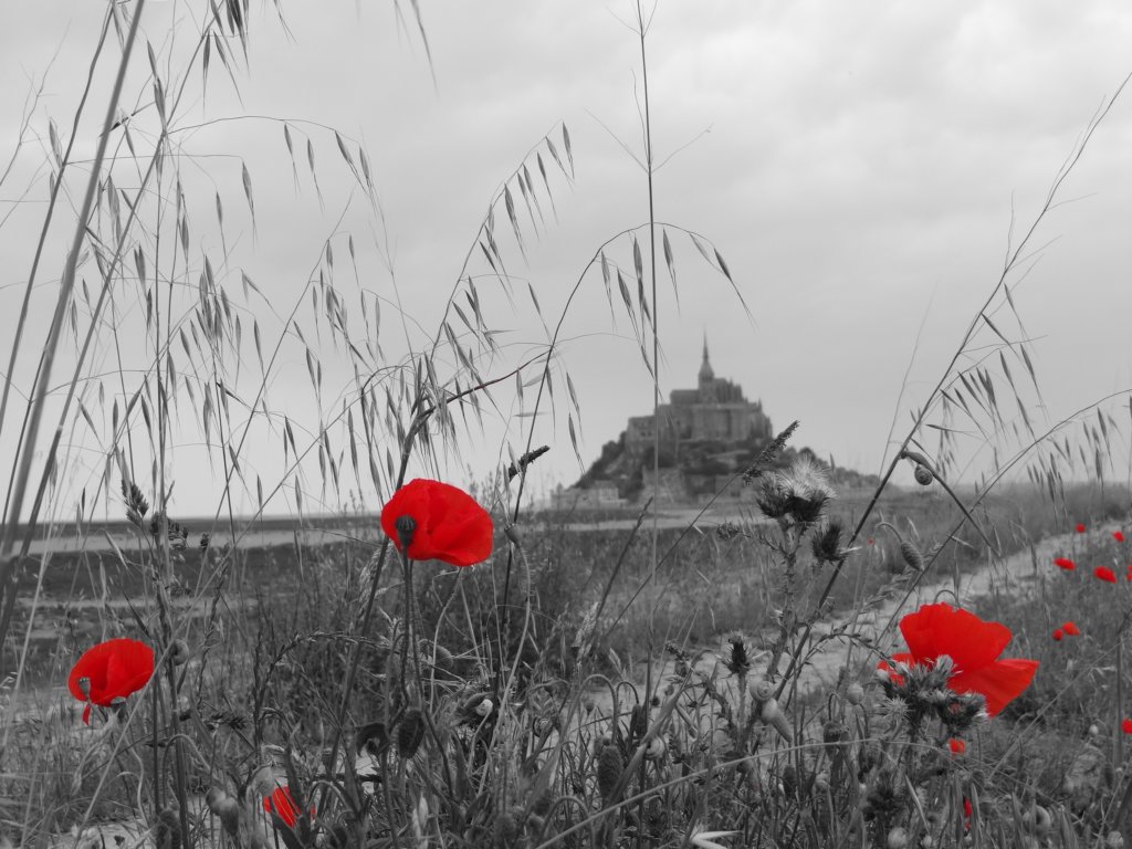 normandy131.jpg