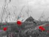 normandy131_small.jpg