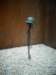 normandy177_small.jpg