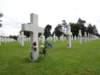 normandy182_small.jpg