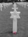 normandy183_small.jpg