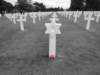 normandy184_small.jpg