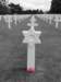 normandy185_small.jpg