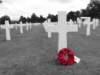 normandy188_small.jpg