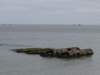 normandy194_small.jpg