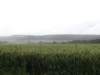 normandy209_small.jpg
