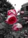 normandy220_small.jpg