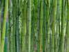 normandy224_small.jpg
