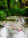 normandy227_small.jpg