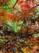 normandy228_small.jpg