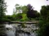 normandy229_small.jpg