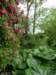 normandy231_small.jpg