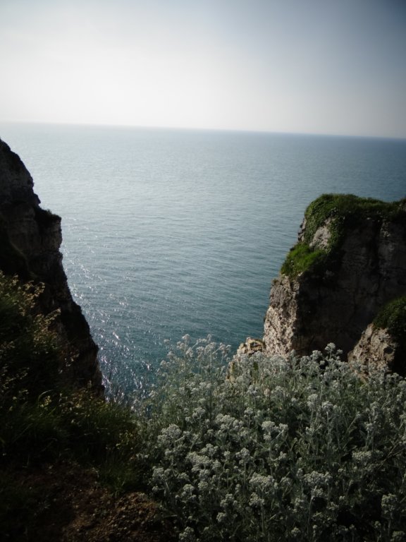 normandy44.jpg