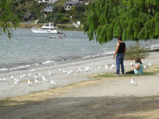 anewzealandwanaka.jpg